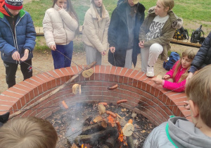 Udział VI a w jesiennej edycji projektu – Przystanek Grotniki