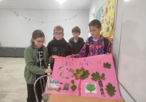 Udział VI a w jesiennej edycji projektu – Przystanek Grotniki