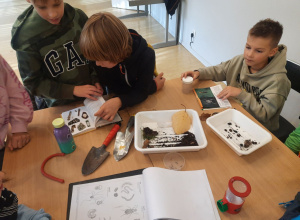Jesienne warsztaty przyrodnicze w ramach projektu 4 SEASONS