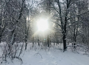 Styczniowy spacer w ramach innowacji „Przyroda uczy, bawi i relaksuje-obcując z nią świetnie się czuję”