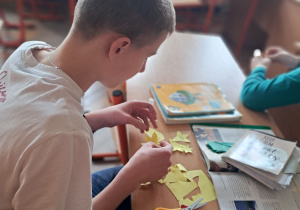 Akcja żonkile foto 1