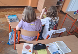 Akcja żonkile foto 4