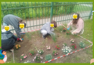 Uczniowie sadzą rośliny miododajne