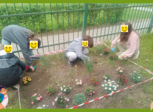 Rośliny dla Pszczół