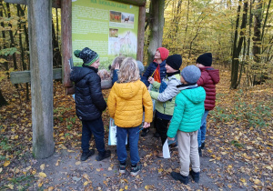 Uczniowie klasy IIIa i IIIb w Lesie Łagiewnickim