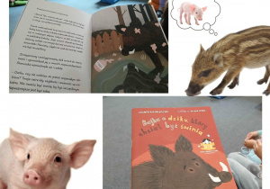 głośne czytanie bajki terapeutycznej z komentarzem