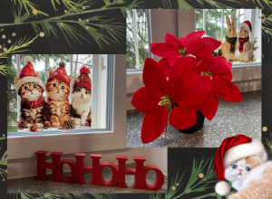 Święta tuż tuż, Mikołaj jedzie już!