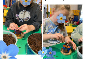 dzieci sieją niezapominajki