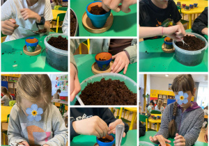 dzieci sieją niezapominajki