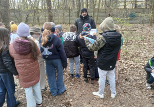 Klasy trzecie w Lesie Łagiewnickim