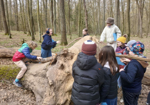 Klasy trzecie w Lesie Łagiewnickim
