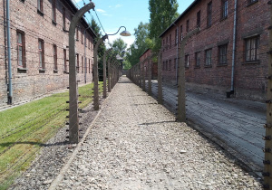 Wycieczka do Auschwitz - Birkenau
